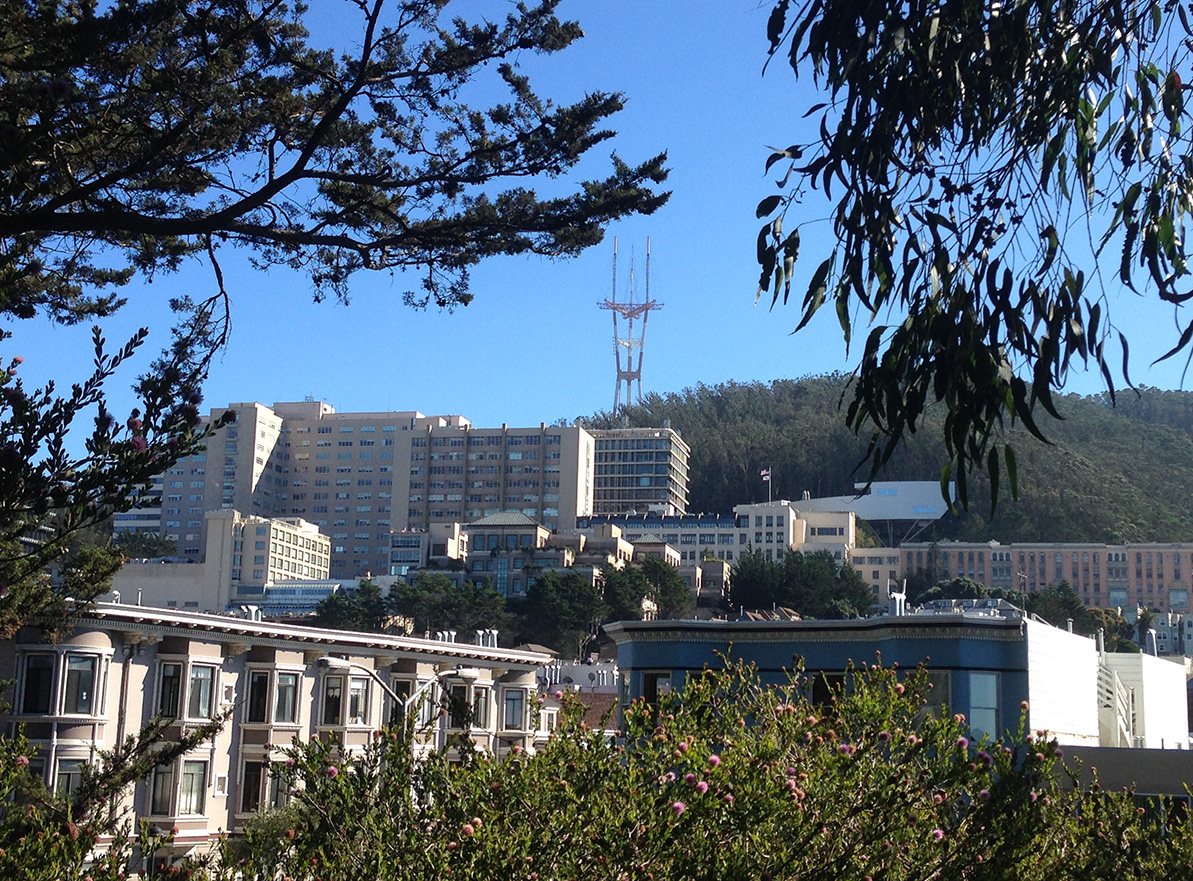 UCSF Parnassus seen from GG Park